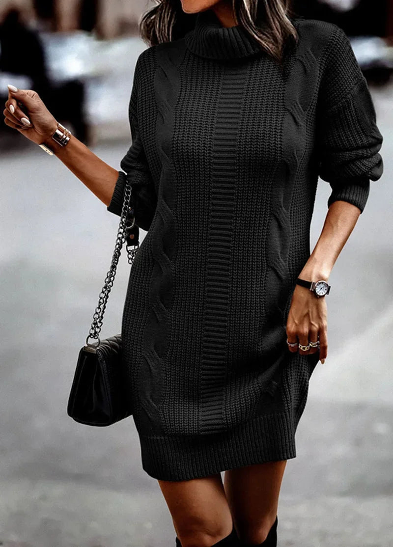 Turtleneck Knit Sweater Dress