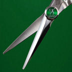 Professional 6-Inch Hair Scissors
