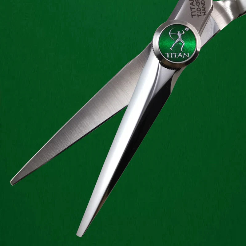 Professional 6-Inch Hair Scissors