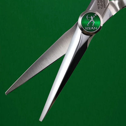 Professional 6-Inch Hair Scissors