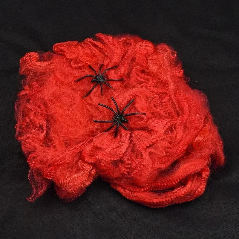 Stretchy Spider Web Decoration