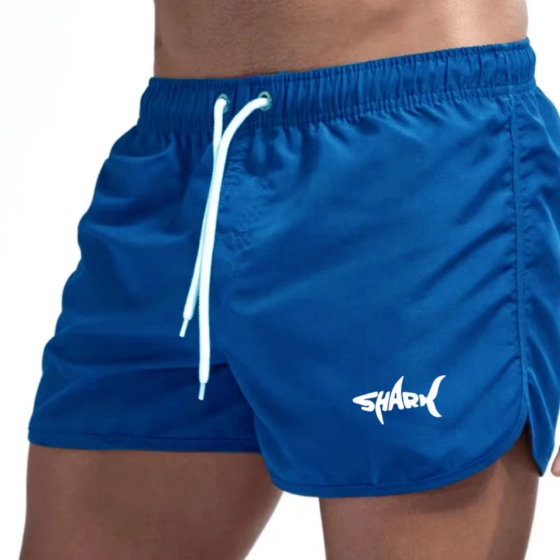 Mesh Quick-Dry Sport Shorts