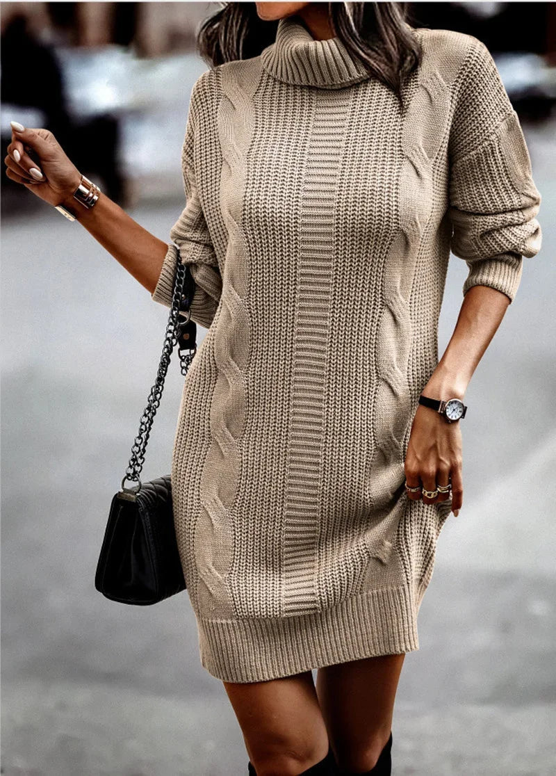 Turtleneck Knit Sweater Dress