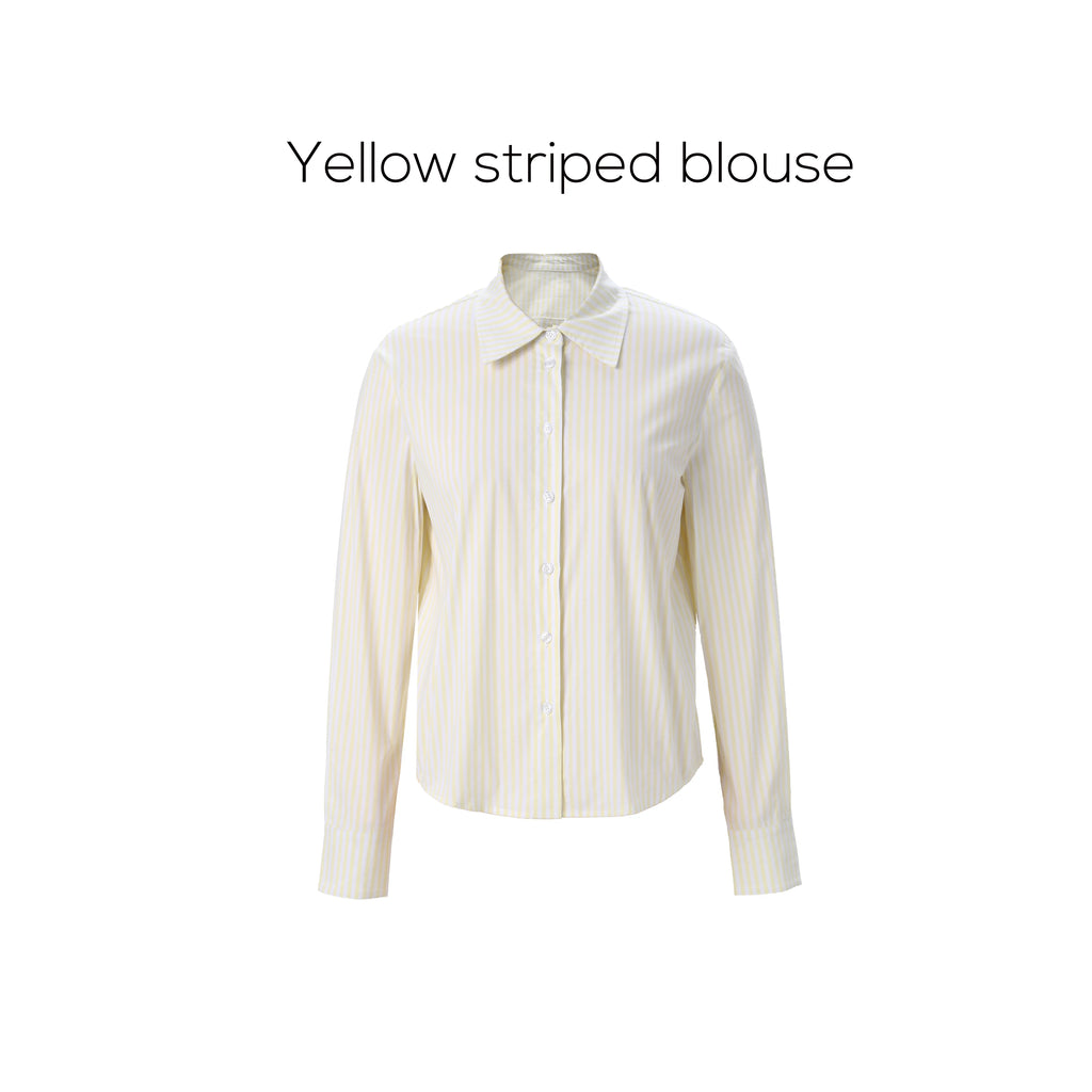 Striped Blouse with Slip Dress