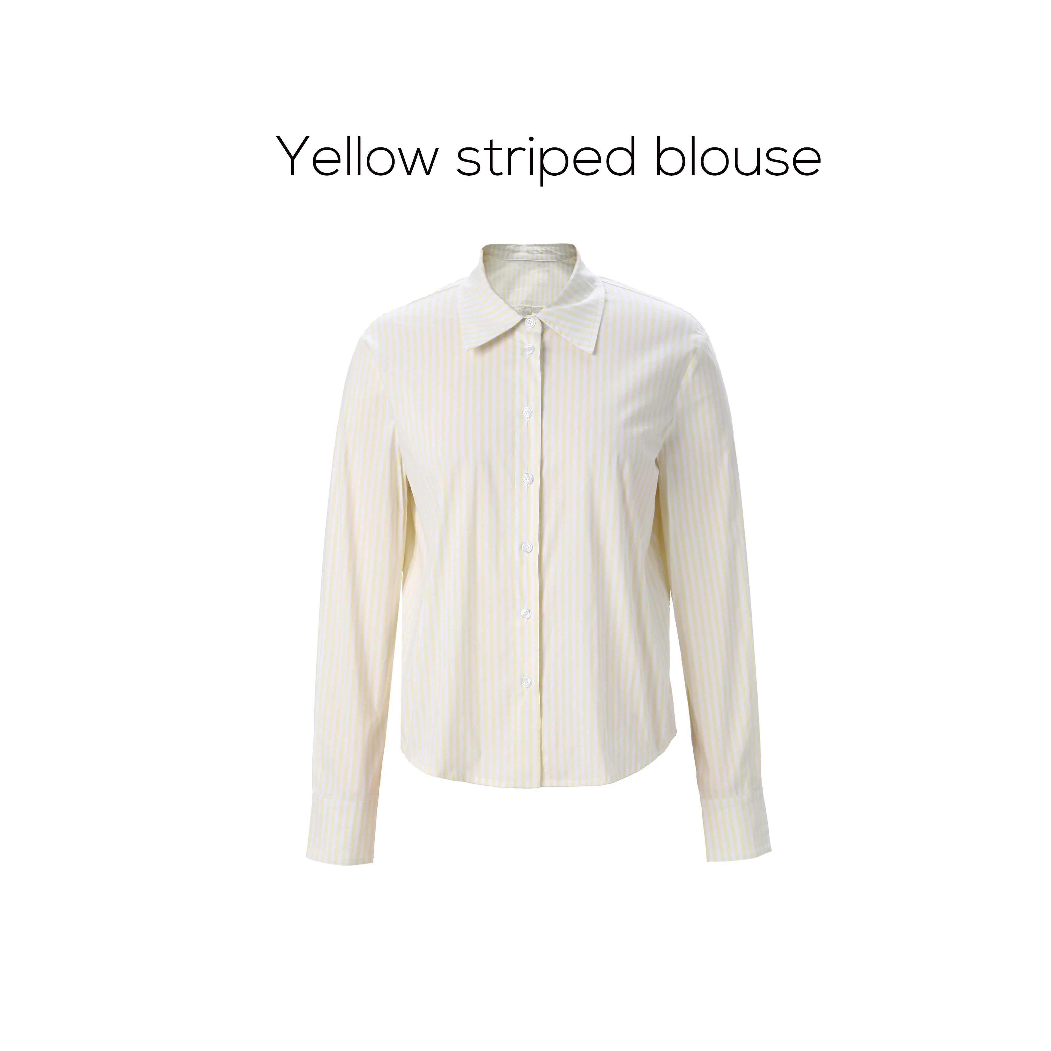 Striped Blouse with Slip Dress