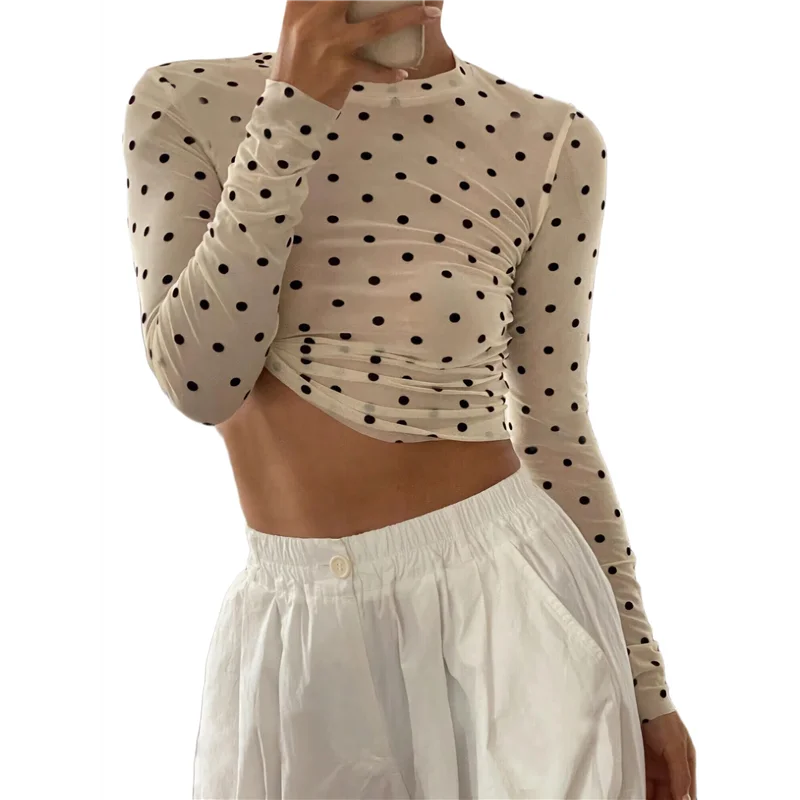 Sheer Mesh Dot Top