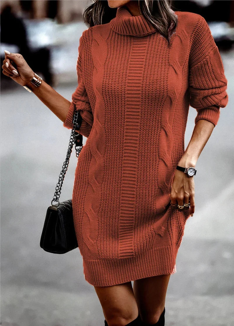 Turtleneck Knit Sweater Dress