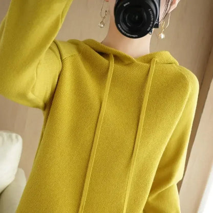 Hooded Knit Pullover Top