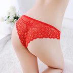 Lace Mesh Briefs