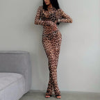 Sheer Leopard Print Long-Sleeve Dress