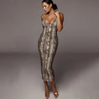 Leopard Print V-Neck Dress