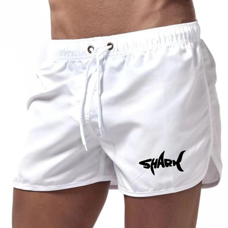 Mesh Quick-Dry Sport Shorts