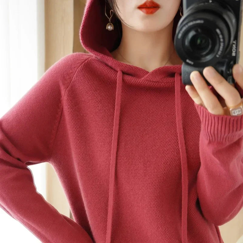 Hooded Knit Pullover Top
