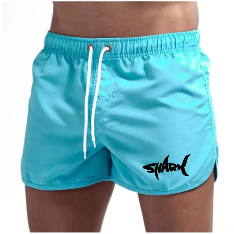 Mesh Quick-Dry Sport Shorts