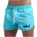 Mesh Quick-Dry Sport Shorts