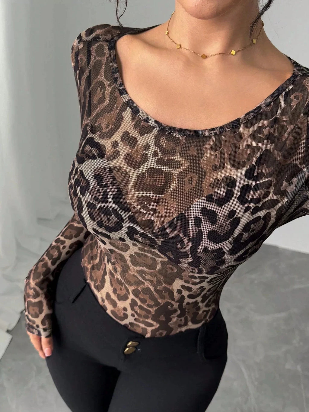 Leopard Print Sheer Long Sleeve Top