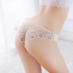 Lace Mesh Briefs
