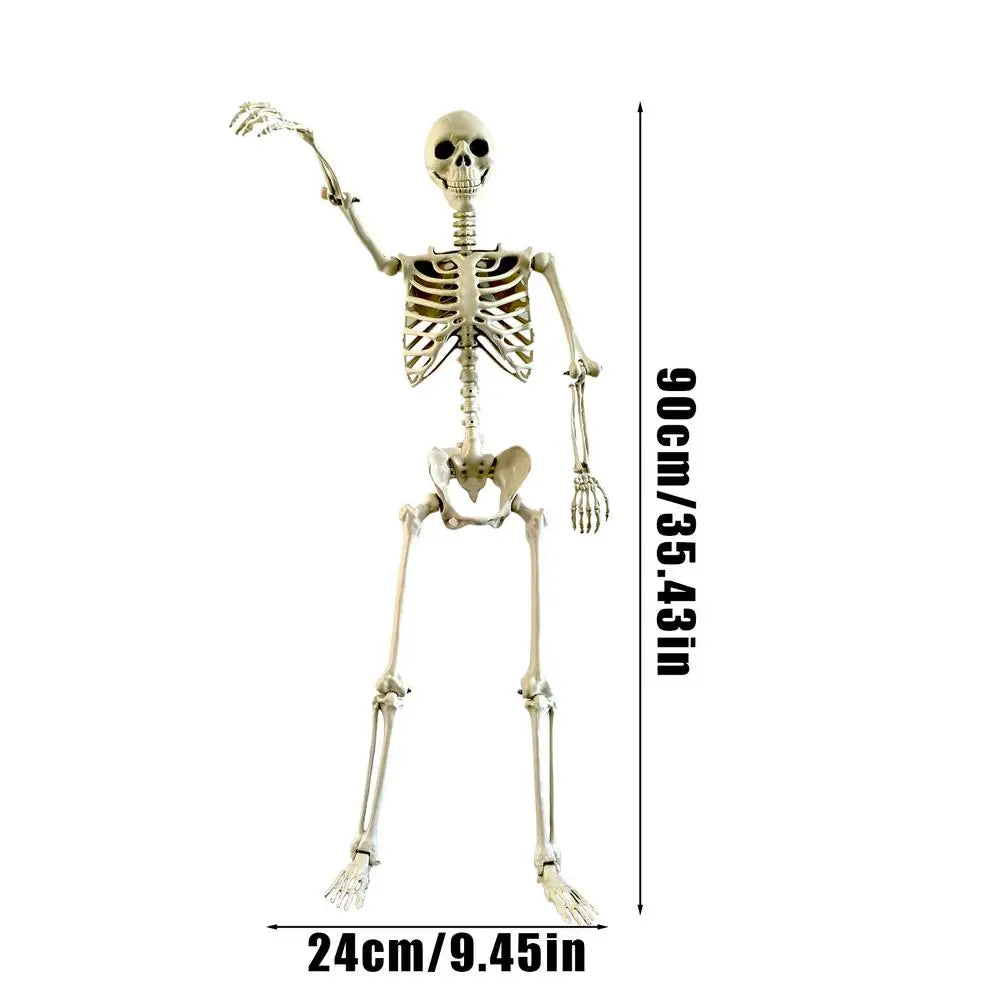 Posable Skeleton Bones Prop
