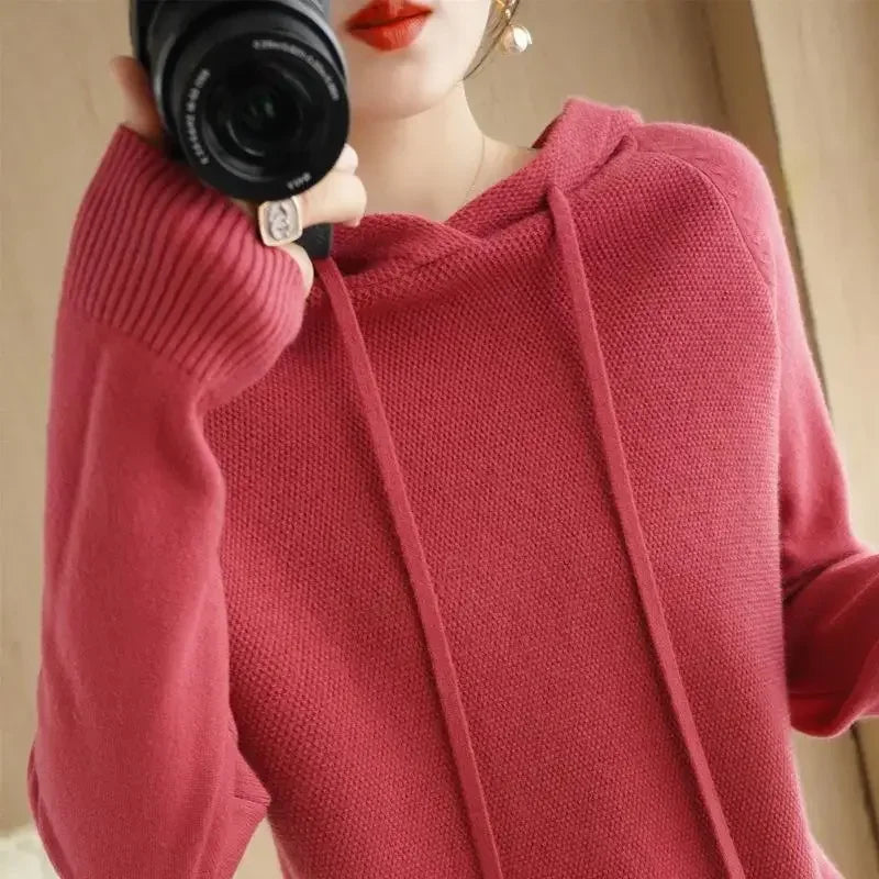 Hooded Knit Pullover Top