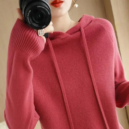 Hooded Knit Pullover Top