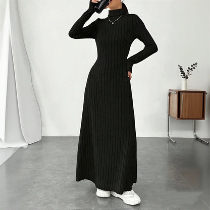 Turtleneck Knit Maxi Dress