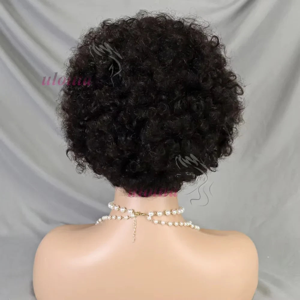 Short Afro Curly Wig