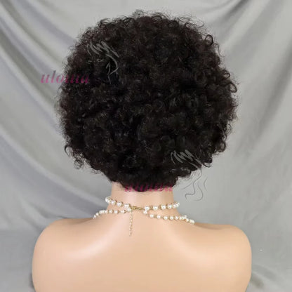 Short Afro Curly Wig