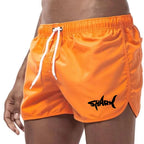 Mesh Quick-Dry Sport Shorts