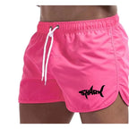 Mesh Quick-Dry Sport Shorts