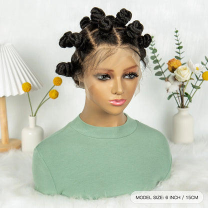 Synthetic Lace Braided Wig