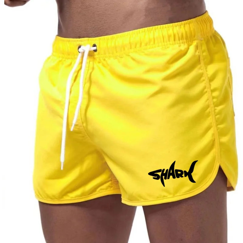 Mesh Quick-Dry Sport Shorts