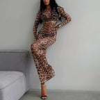 Sheer Leopard Print Long-Sleeve Dress