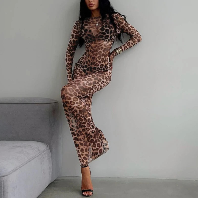 Sheer Leopard Print Long-Sleeve Dress