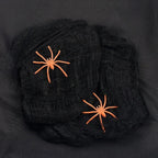 Stretchy Spider Web Decoration