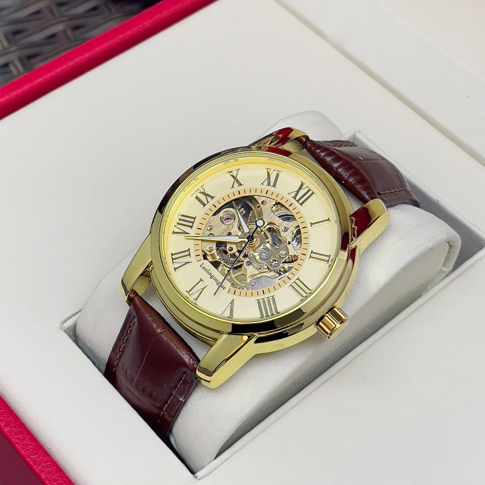 AOKULASIC Skeleton Leather Automatic Watch