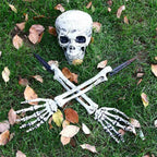 Skeleton Head and Arm Props