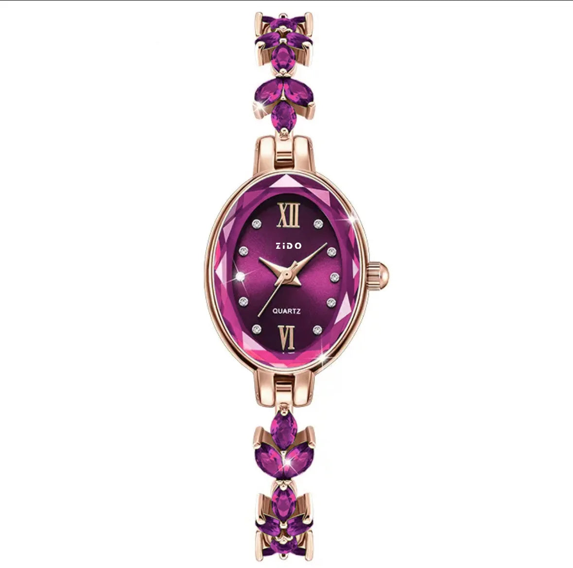 Elegant Oval Ladies Watch