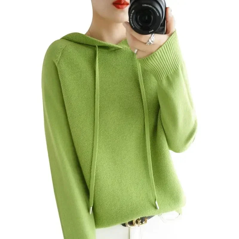 Hooded Knit Pullover Top