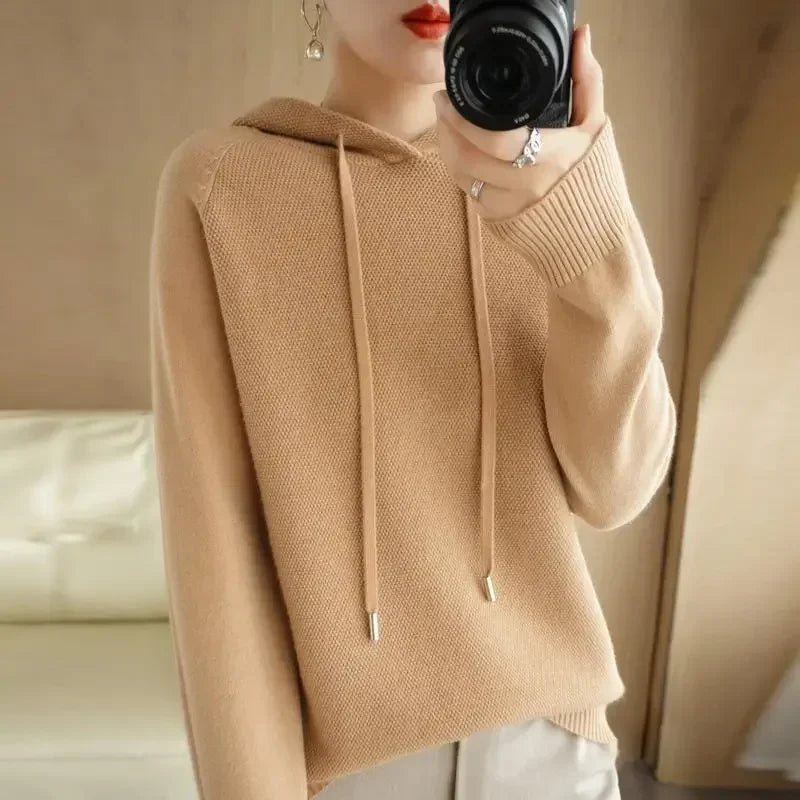 Hooded Knit Pullover Top
