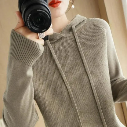 Hooded Knit Pullover Top