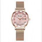 Luminous Steel Watch