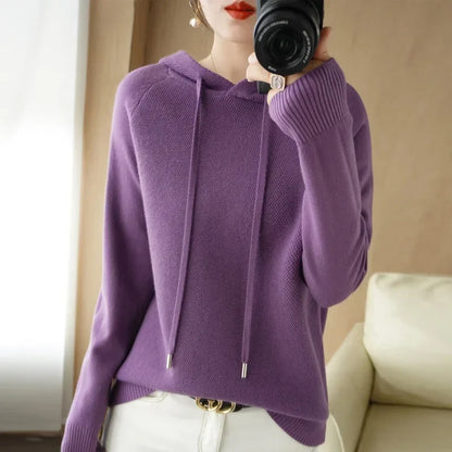 Hooded Knit Pullover Top