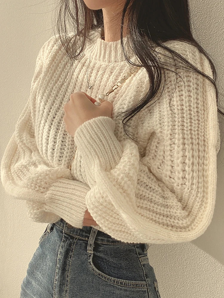 Loose Lantern Sleeve Sweater