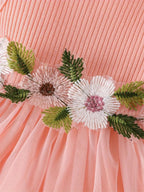 Baby Girl Flower Mesh Dress