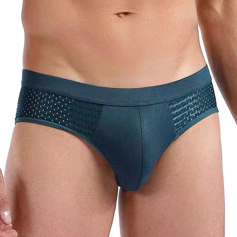Panties Ice Silk Mesh Underwear