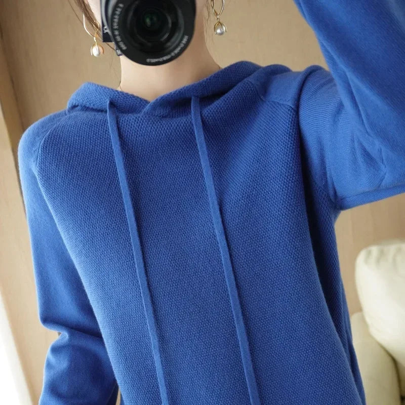 Hooded Knit Pullover Top
