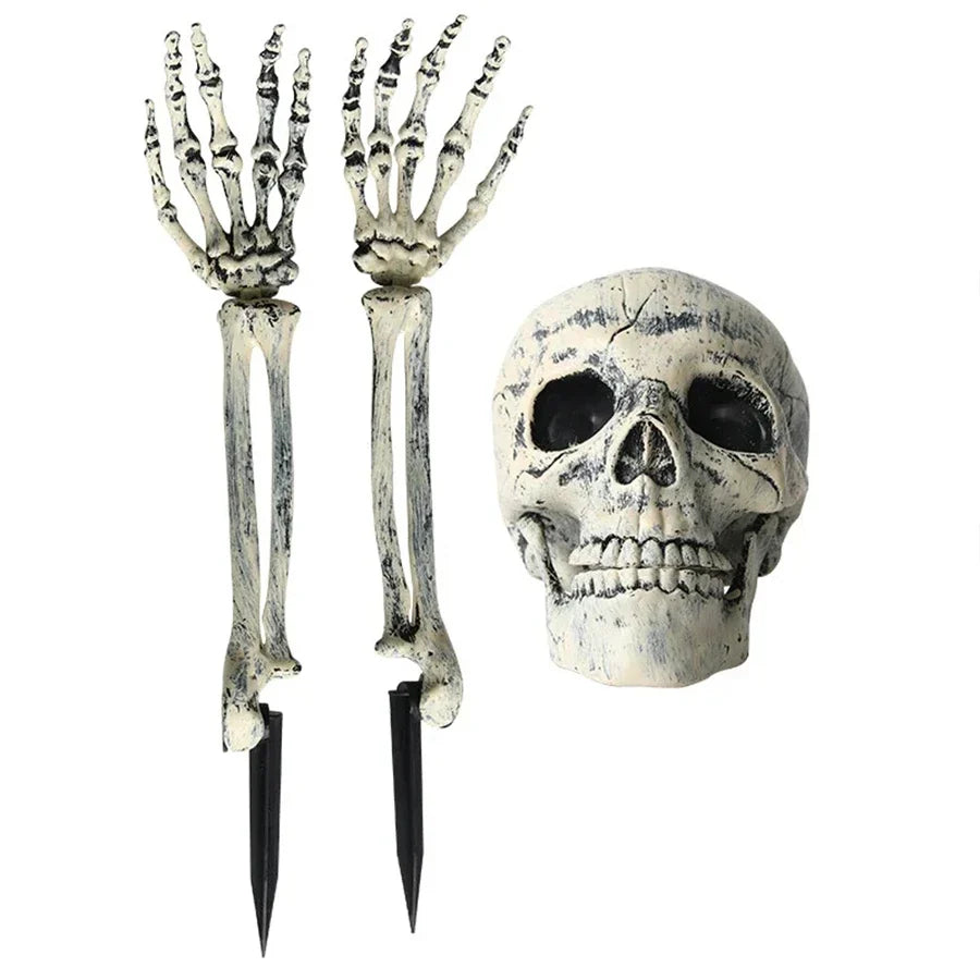 Skeleton Head and Arm Props