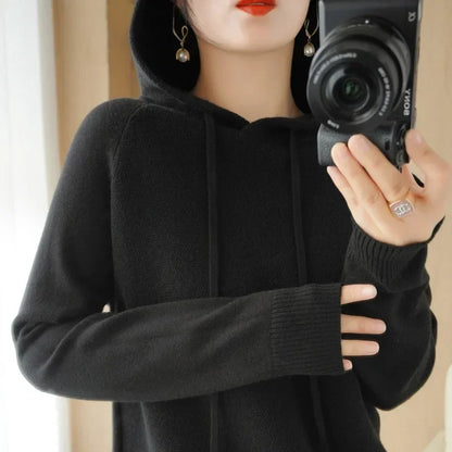 Hooded Knit Pullover Top