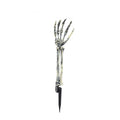 Skeleton Head and Arm Props