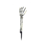 Skeleton Head and Arm Props